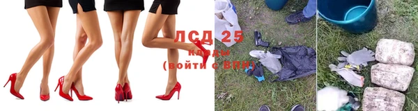 прущие крисы Надым