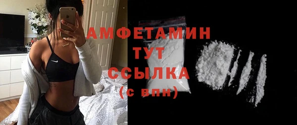 прущие грибы Елабуга